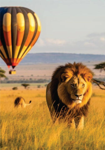 Hot air balloon safari over lion on affordable Masai Mara and Lake Nakuru joining safari tour